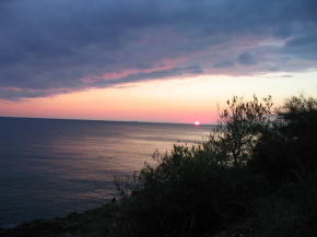 Blick