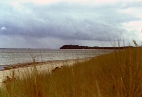 Blick